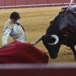 El diestro peruano Roca Rey en el primer festejo taurino con público en la Real Maestranza de Sevilla, correspondiente a la feria de San Miguel.