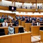 Sesión de control en el Senado