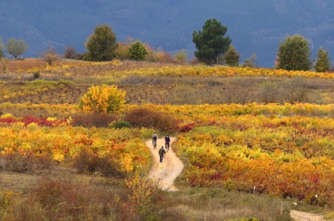 Otoño en El Bierzo