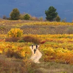 Otoño en El Bierzo