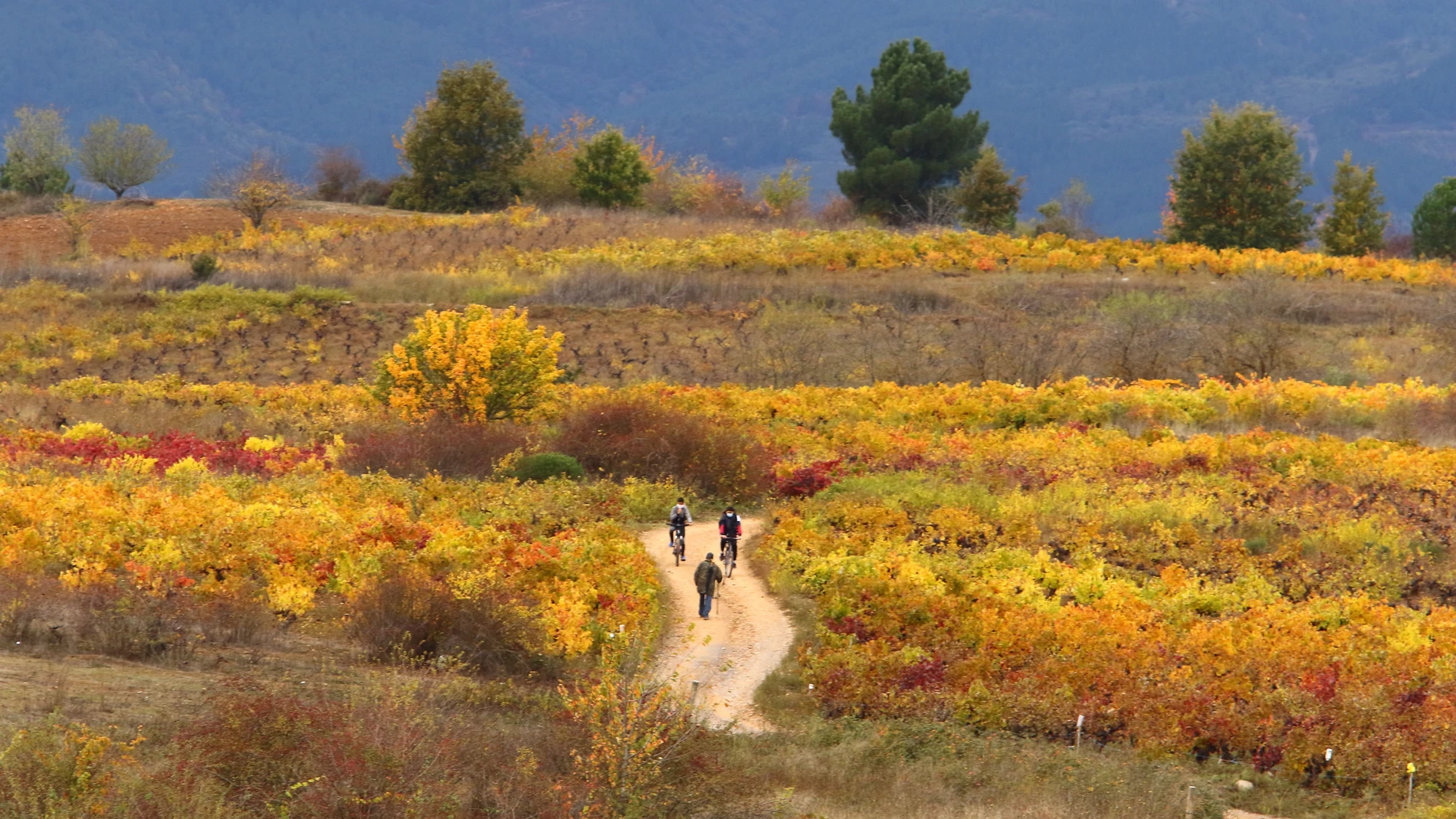 Otoño en El Bierzo