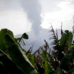 El volcán de Cumbre Vieja en La Palma emite fumarolas de humo