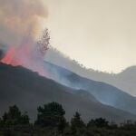 -FOTODELDÍA- . EL PASO (LA PALMA) (ESPAÑA), 28/09/2021.- La erupción volcánica de La Palma continúa activa este martes, con abundante material magmático que se dirige ladera abajo pero sin saber si llegará al mar. EFE/Ángel Medina G.