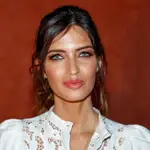 Sara Carbonero en una imagen de reciente