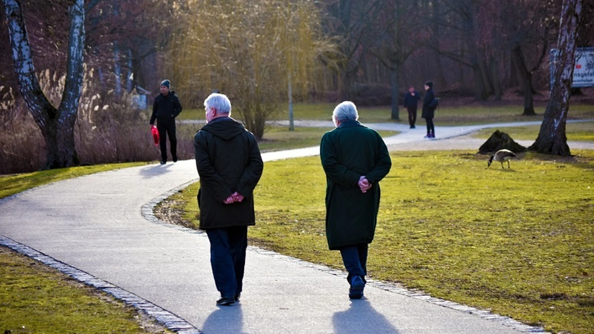 Una pareja jubilada pasea por un parque
