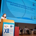 La directora general de Desarrollo Rural, María González, en el Comité Nacional Español de Grandes Presas celebrado en Las Palmas de Gran Canaria.