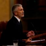 El ministro de Interior, Fernando Grande-Marlaska, interviene en la sesión plenaria