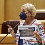 La senadora del PP por Segovia, Paloma Sanz, durante su intervención