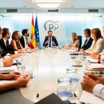 El presidente del Partido Popular, Pablo Casado (c), preside la reunión del Comité de Dirección del partido