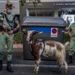 Guerra y la cabra