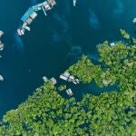 La Amazonia brasileña, una de las regiones con una mayor biodiversidad del mundo, cuya deforestación tiene consecuencias fatales para el planeta.