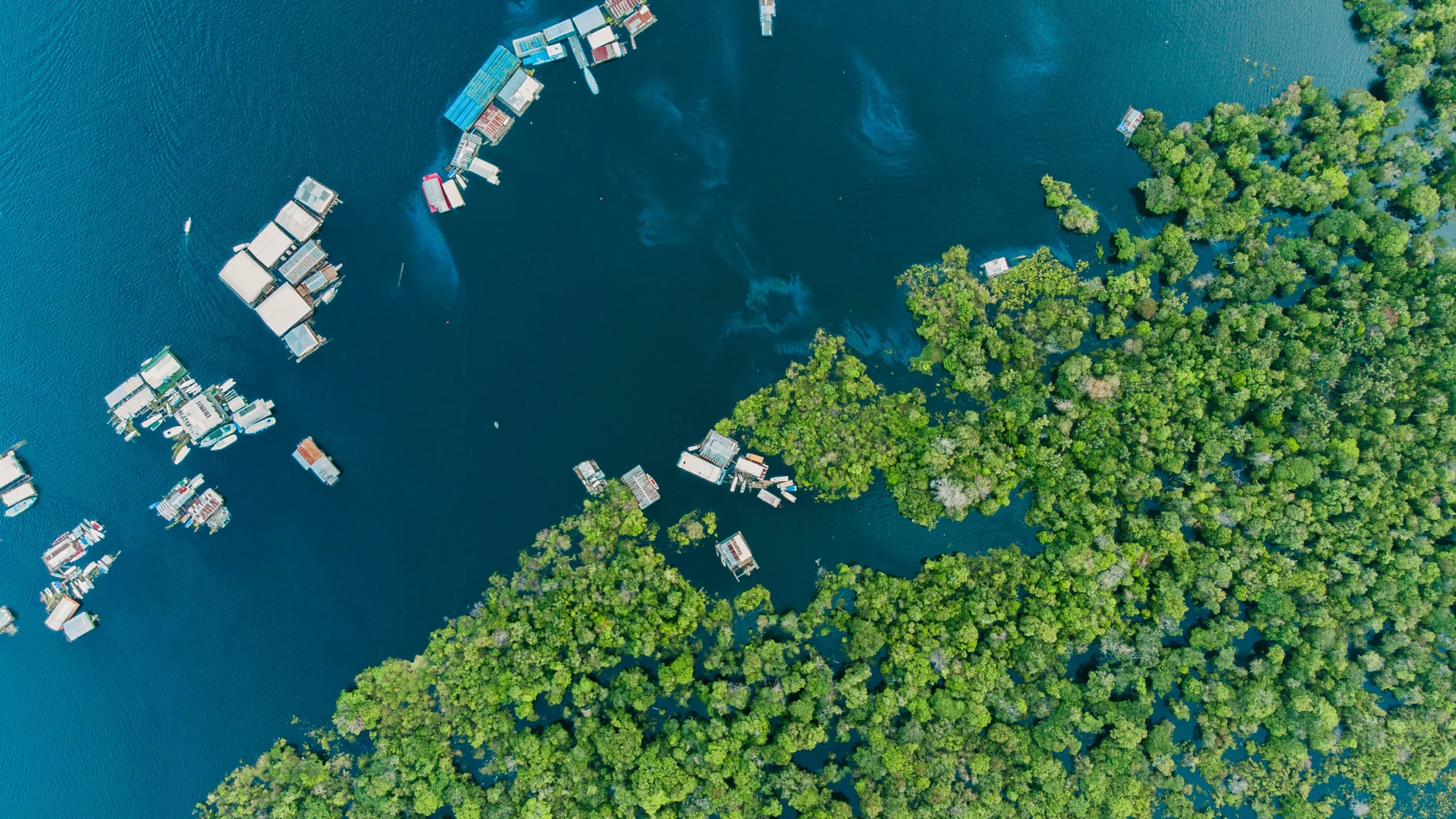 La Amazonia brasileña, una de las regiones con una mayor biodiversidad del mundo, cuya deforestación tiene consecuencias fatales para el planeta.