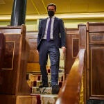 El líder del PP, Pablo Casado, en la sesión de control al Gobierno