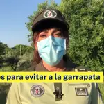 Consejos para evitar a la garrapata