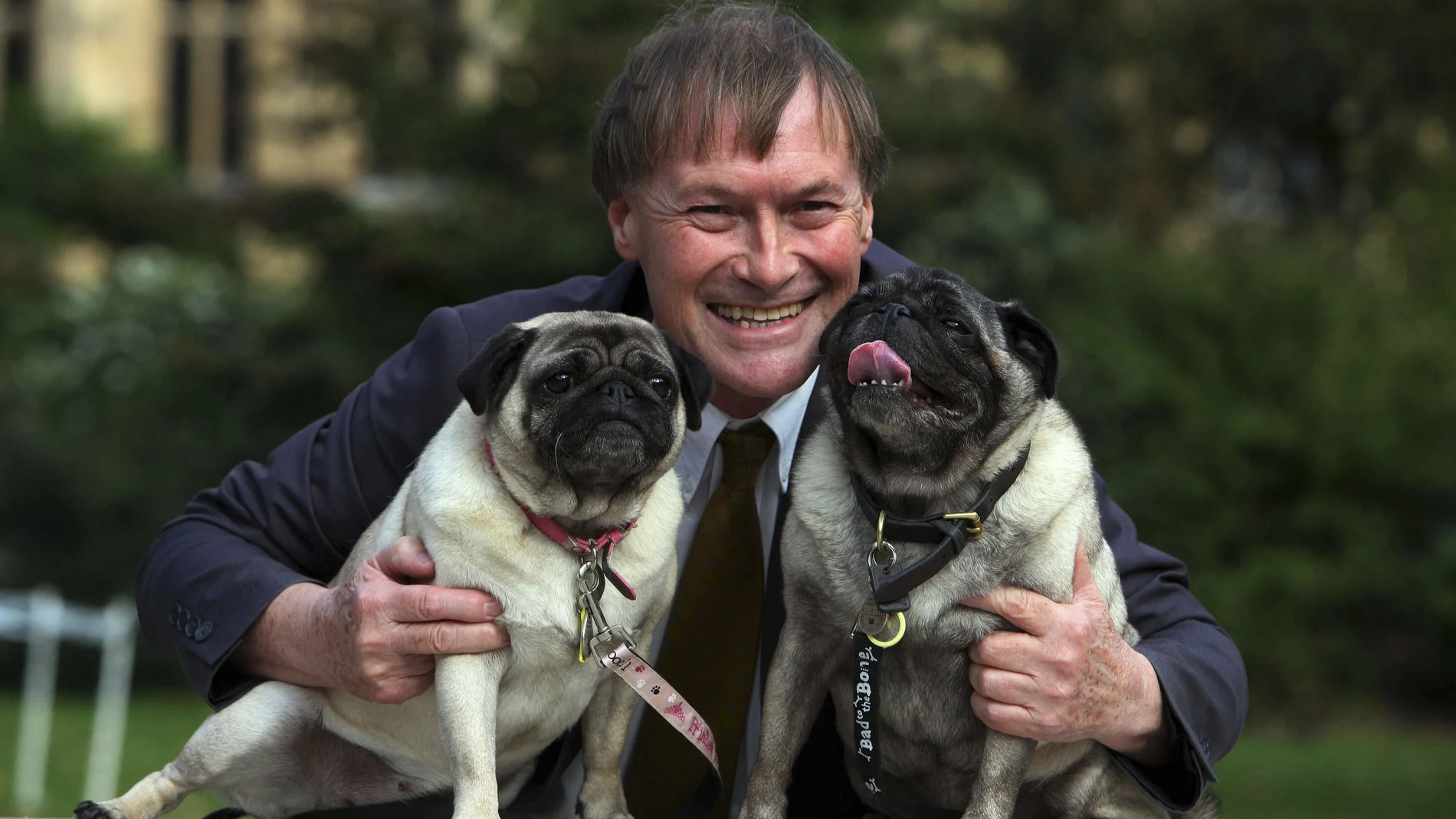 Amess fue uno de los diputados con más años de servicio, siendo elegido por primera vez en 1983 (Basildon).