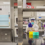 "Un virus sin ruedas": Crean un SARS-CoV-2 no infeccioso