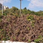 El PP advierte que el estado del “no puente de las flores” es una muestra del desastre en materia de jardines en Valencia