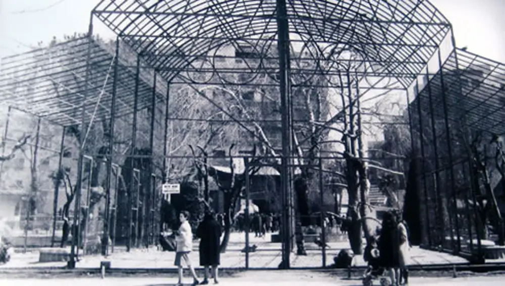 Pajarera de las rapaces de El Retiro