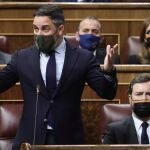 El líder de Vox, Santiago Abascal, interviene en una sesión de control al Gobierno