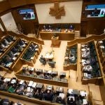 Pleno del Parlamento Vasco