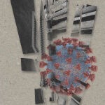 Congreso y Virus