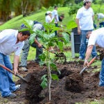 Santander se adhiere al mayor plan de reforestación de España, que plantará más de 60 millones de árboles