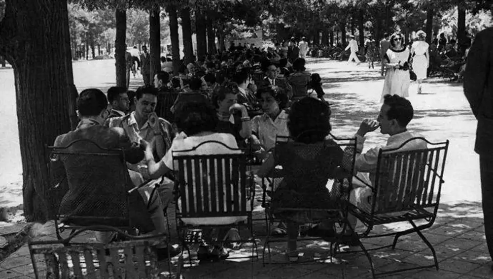 Animada charla... a palo seco en el paseo