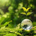Los «eco-friendly» son productos que por su composición, no contaminan