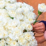 Niños cogen claveles blancos para depositar bajo los columpios en recuerdo de Álex