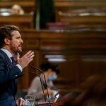 El líder del PP, Pablo Casado, interviene en una sesión plenaria en el Congreso de los Diputados