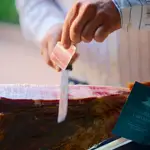 Sánchez Romero Carvajal