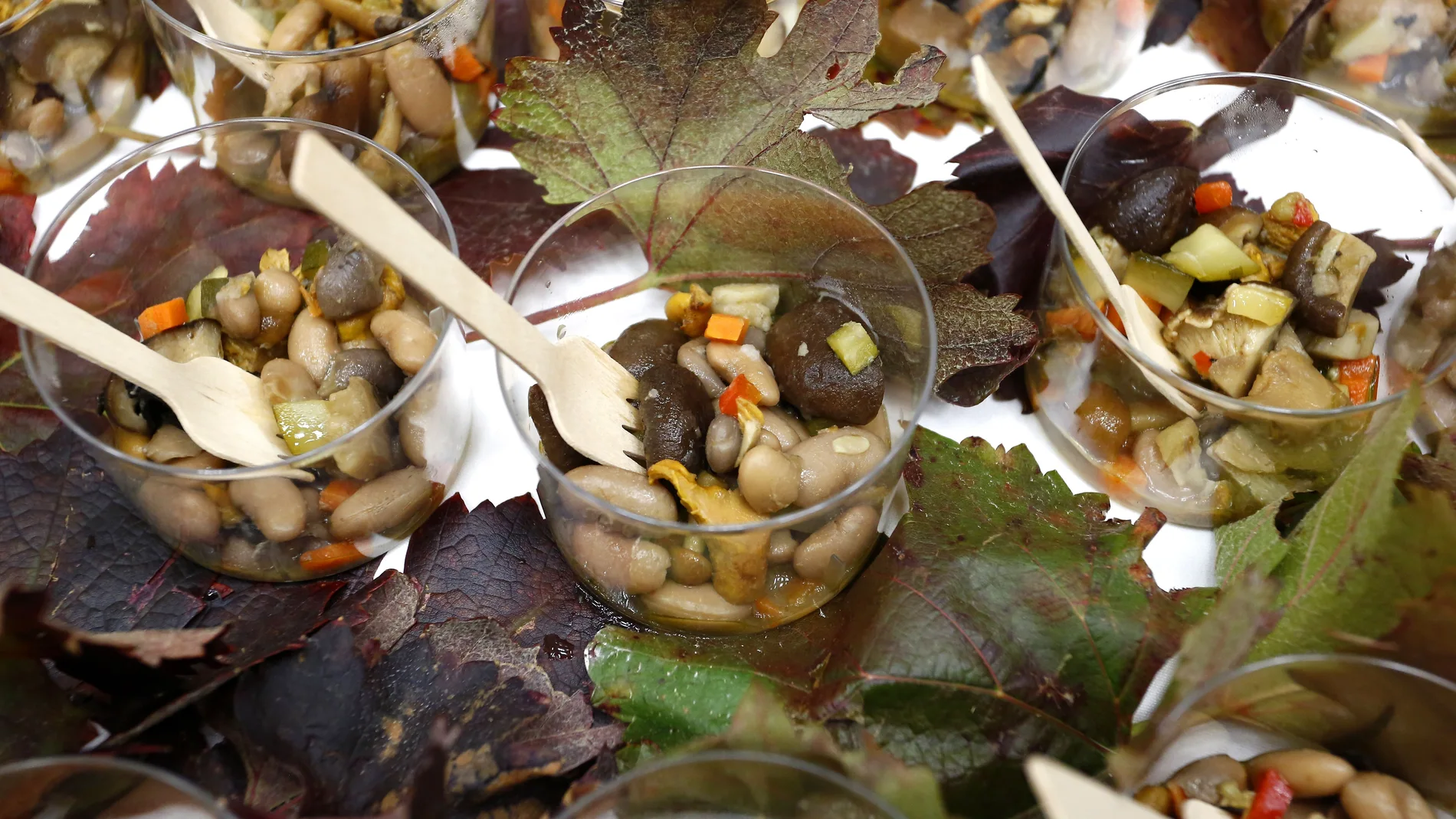 Jornadas Gastro-micológicas Buscasetas