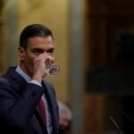 El presidente del Gobierno, Pedro Sánchez durante su intervención en el Congreso