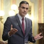 Pedro Sánchez en la tribuna del Congreso de los Diputados