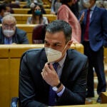 El presidente del Gobierno, Pedro Sánchez, durante un sesión de control al Gobierno en el Senado