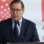 El portavoz del PP en la Asamblea de Madrid, Alfonso Serrano