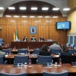 Comparecencia de Carmen Martínez Aguayo (al fondo, a la izquierda) en la comisión de investigación de la Faffe del Parlamento, este viernes