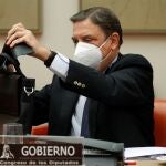El ministro de Agricultura, Luis Planas, en la Comisión de Agricultura