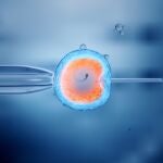 Han pasado más de 40 años del primer éxito de la Fecundación in Vitro