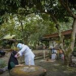 FILE - A Malaysian nurse vaccinates a Sinovac COVID-19 vaccines to an elderly woman in her house in Sabab Bernam, central Selangor state, Malaysia on July 13, 2021. After slow starts, vaccination campaigns in several countries in the Asia-Pacific region now boast inoculation rates that rank among the worldâ€™s best. When cases surged, Malaysia bought more doses and established hundreds of vaccination centers, including mega hubs capable of providing up to 10,000 shots a day. The country now has 76% of its population fully vaccinated. (AP Photo/Vincent Thian, File)