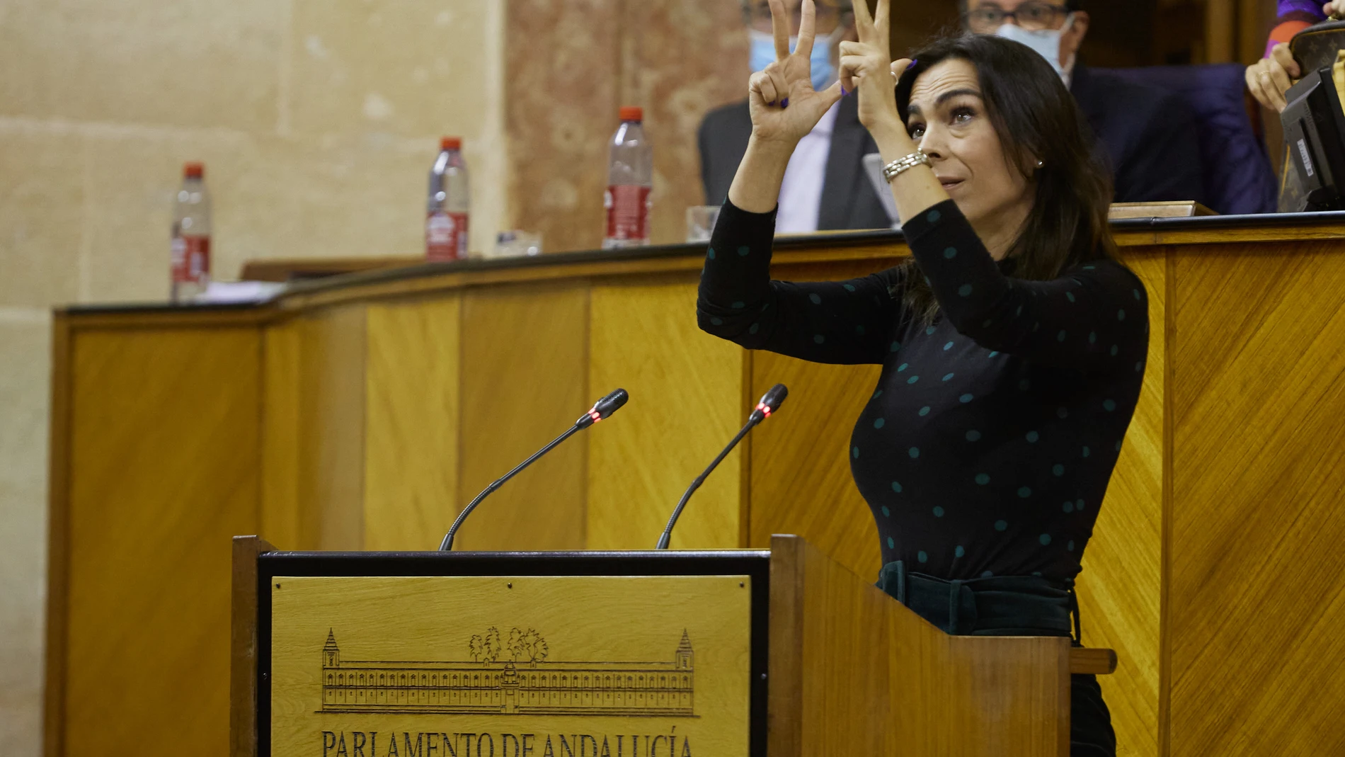 La ex portavoz del grupo parlamentario Ciudadanos, Teresa Pardo, durante el Debate de Presupuesto de la Junta de Andalucía. Joaquín Corchero / Europa Press