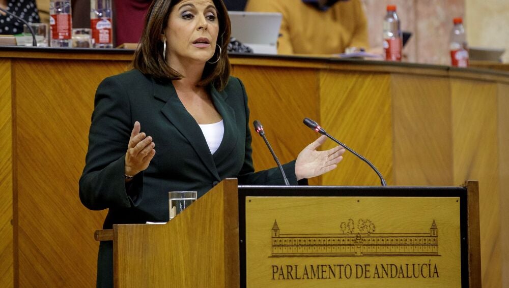 La portavoz del grupo socialista , Ángeles Férriz. EFE/Julio Muñoz