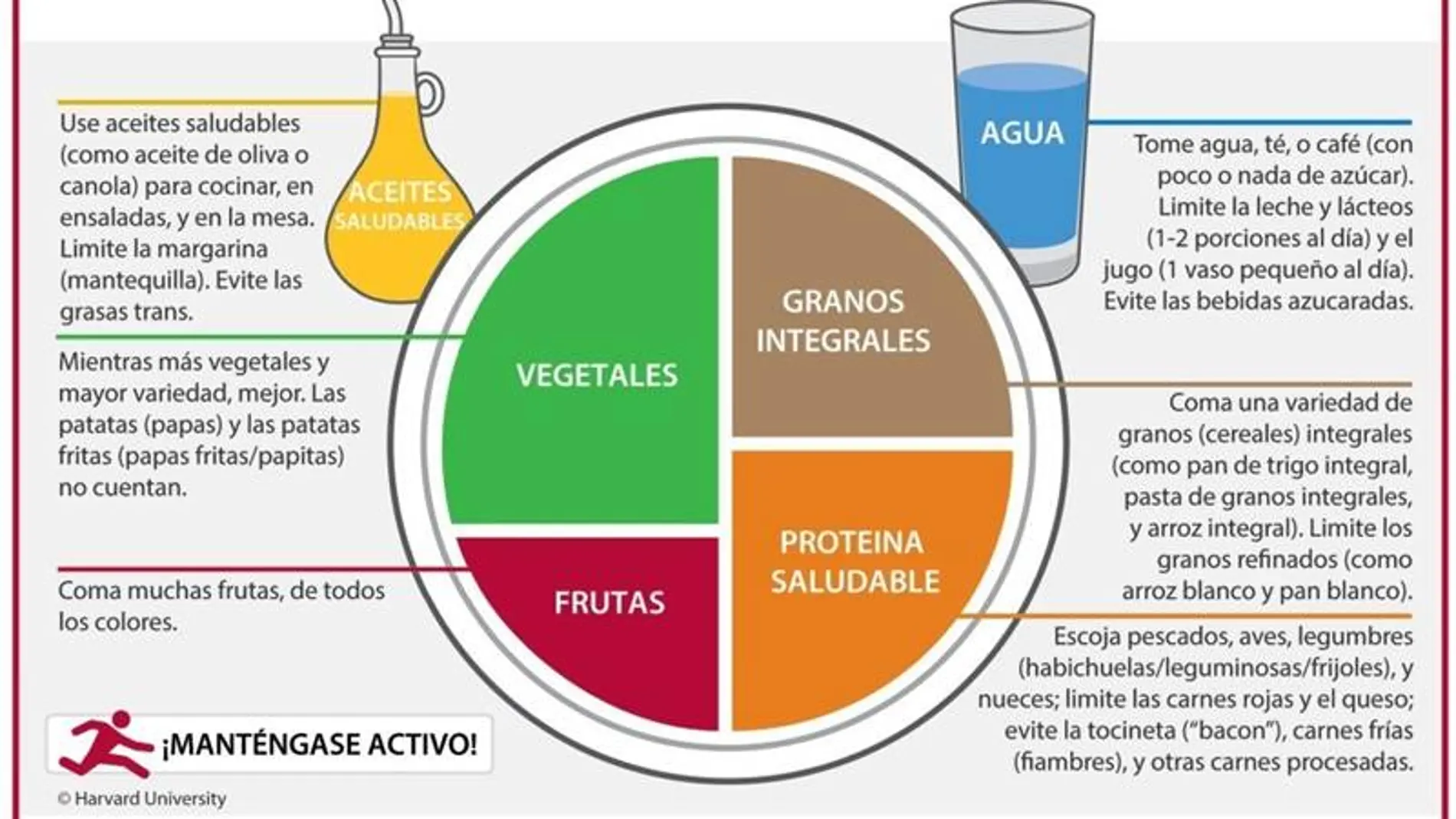 Infografía de "el plato para comer saludable". Fuente: harvard.edu