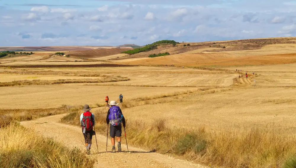 Peregrinos en los alrededores de Castrojeriz.