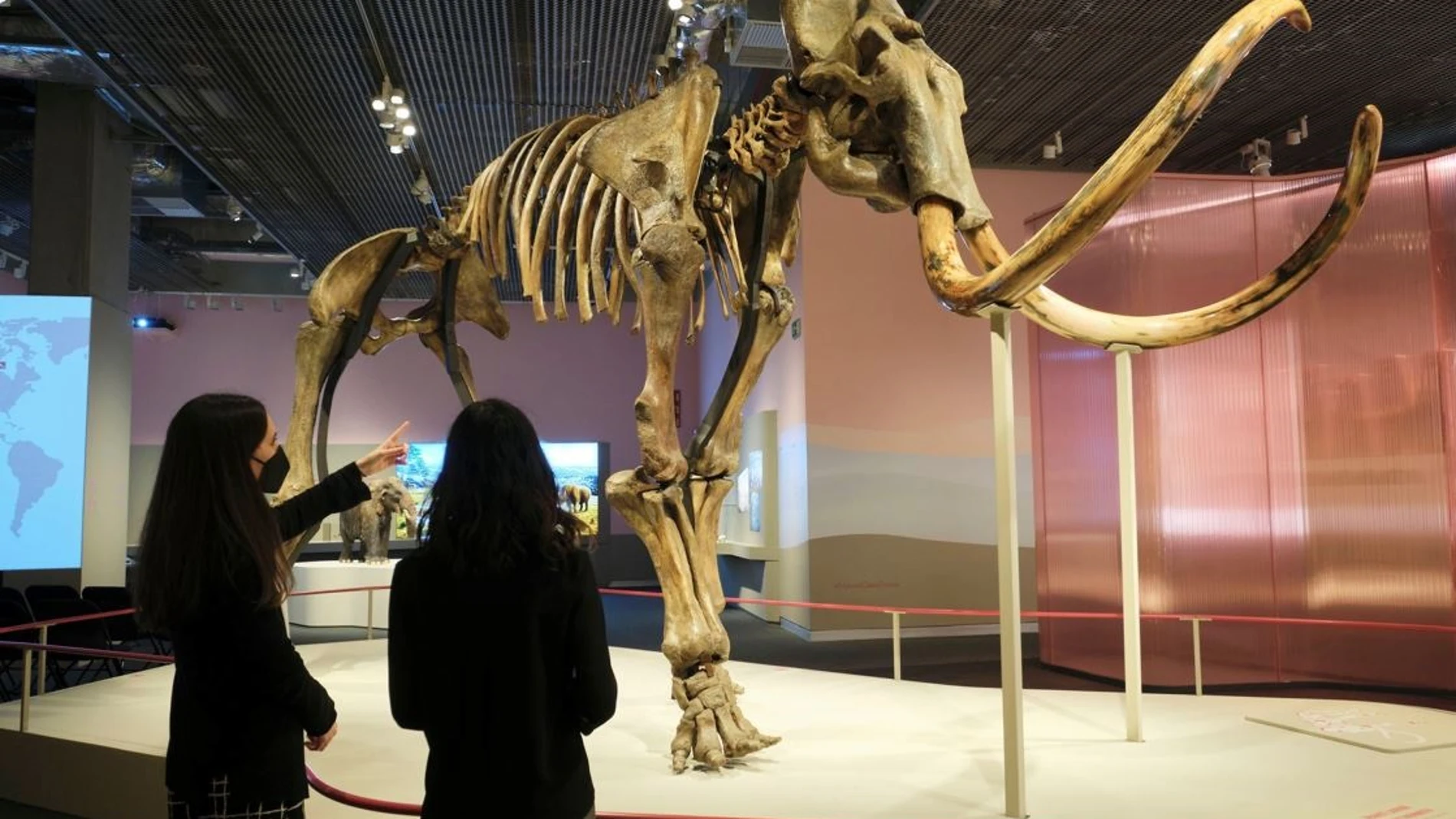 'Mamut. El gigante de la Edad de Hielo'FUNDACIÓN 'LA CAIXA'30/11/2021