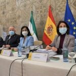Jesús Aguirre y la ministra Carolina arias (centro), al inicio de un Pleno del Consejo Interterritorial del Sistema Nacional de Salud