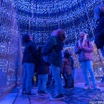 Cartagena estrena su iluminación navideña