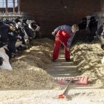 Adoración Martín, responsable del Sector Lácteo de UCCL, en su explotación ganadera en Nava de Arévalo (Ávila)