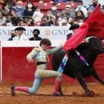 Festejo en Plaza México
