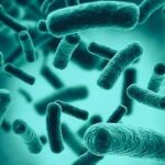 Ilustración de archivo de una bacteria | Fuente: Jezper